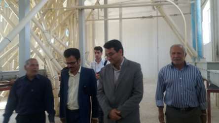 بازدید  (2).jpg 